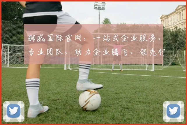 狮威国际官网，一站式企业服务，专业团队，助力企业腾飞，领先行业，值得信赖