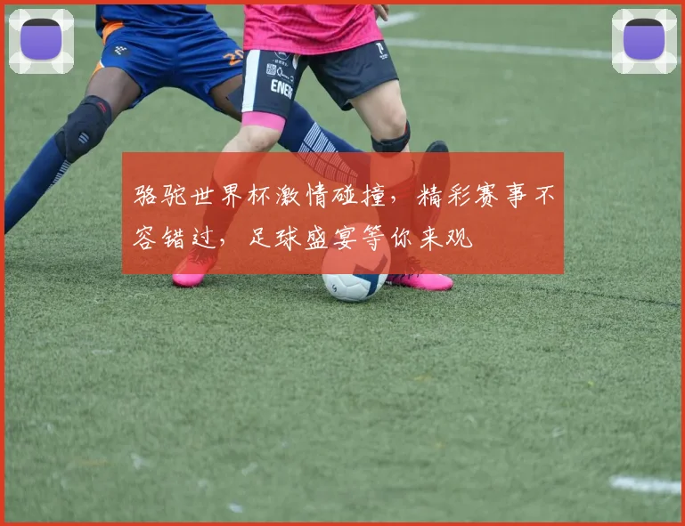 骆驼世界杯激情碰撞，精彩赛事不容错过，足球盛宴等你来观