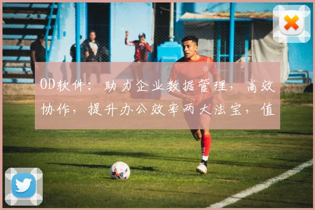 OD软件：助力企业数据管理，高效协作，提升办公效率两大法宝，值得拥有