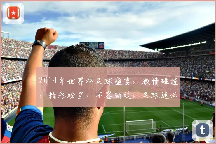 2014年世界杯足球盛宴，激情碰撞，精彩纷呈，不容错过，足球迷必看